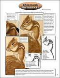 Sue Walters Pyrography Lesson CD - #3 Chipmunk, Rock & Grass