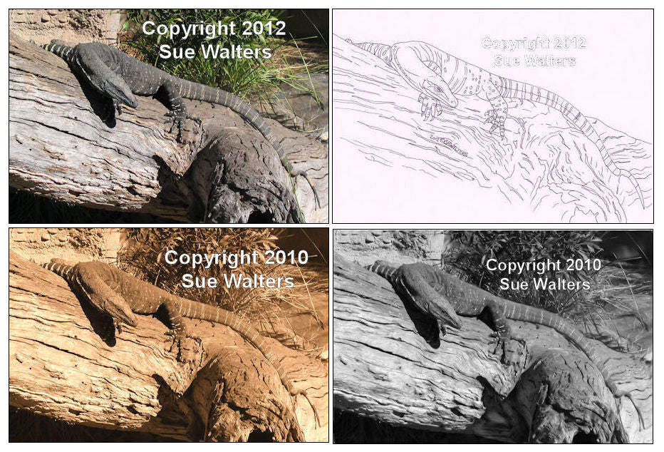 Patterns – Sue Walters Pyrography