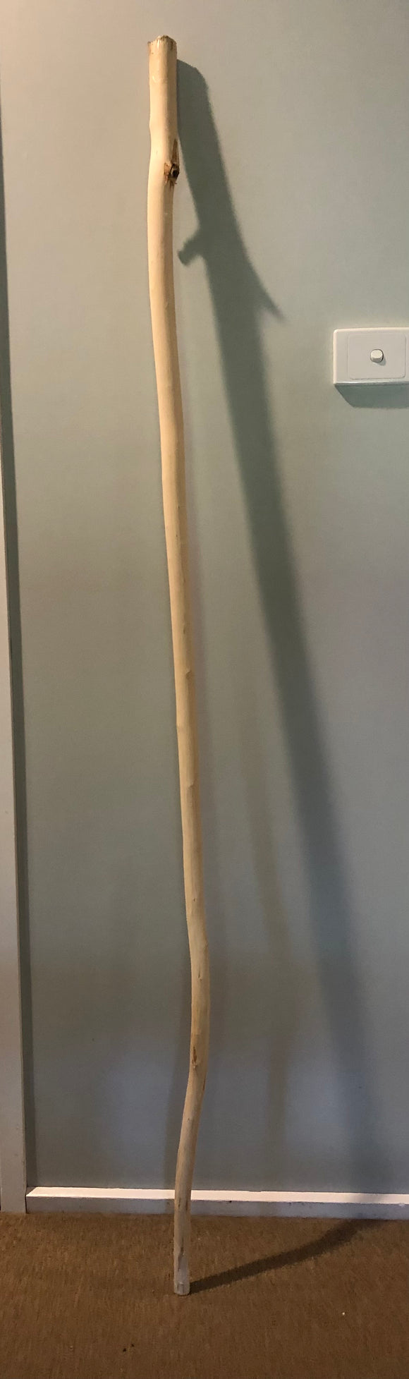 Blank Privet Walking Stick - Pole. Seasoned & ready to burn on. 4