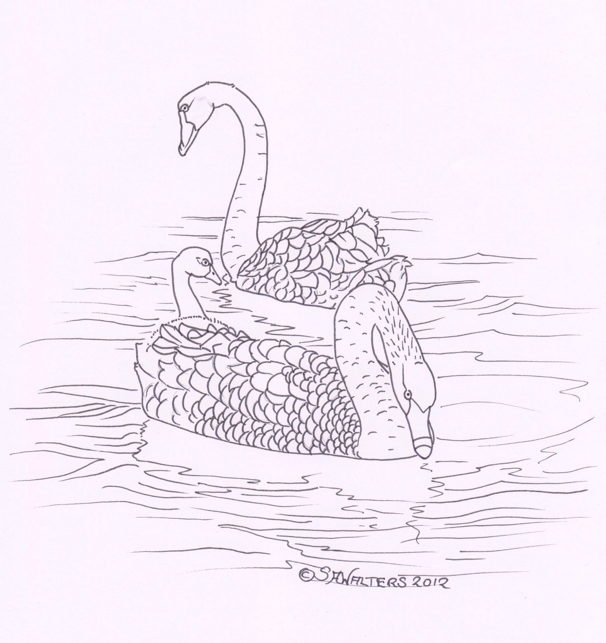 Australian Wildlife Patterns – Sue Walters Pyrography