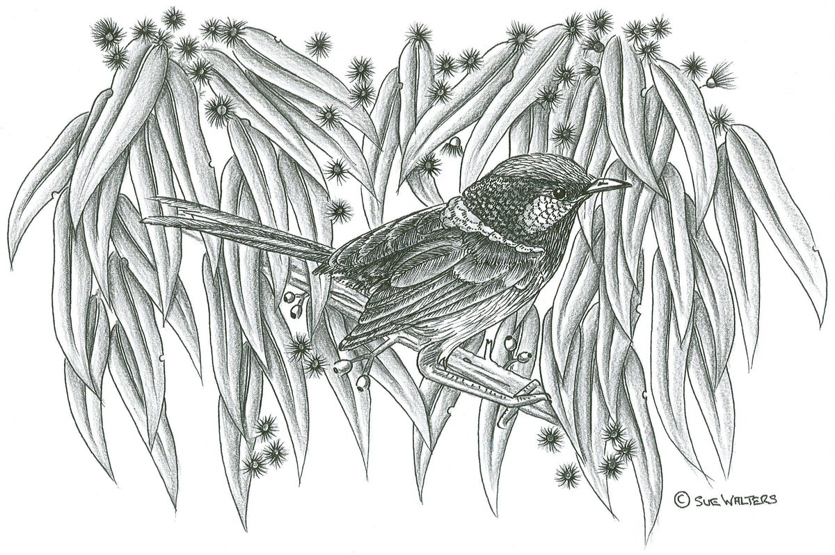 Wildlife Patterns – Sue Walters Pyrography