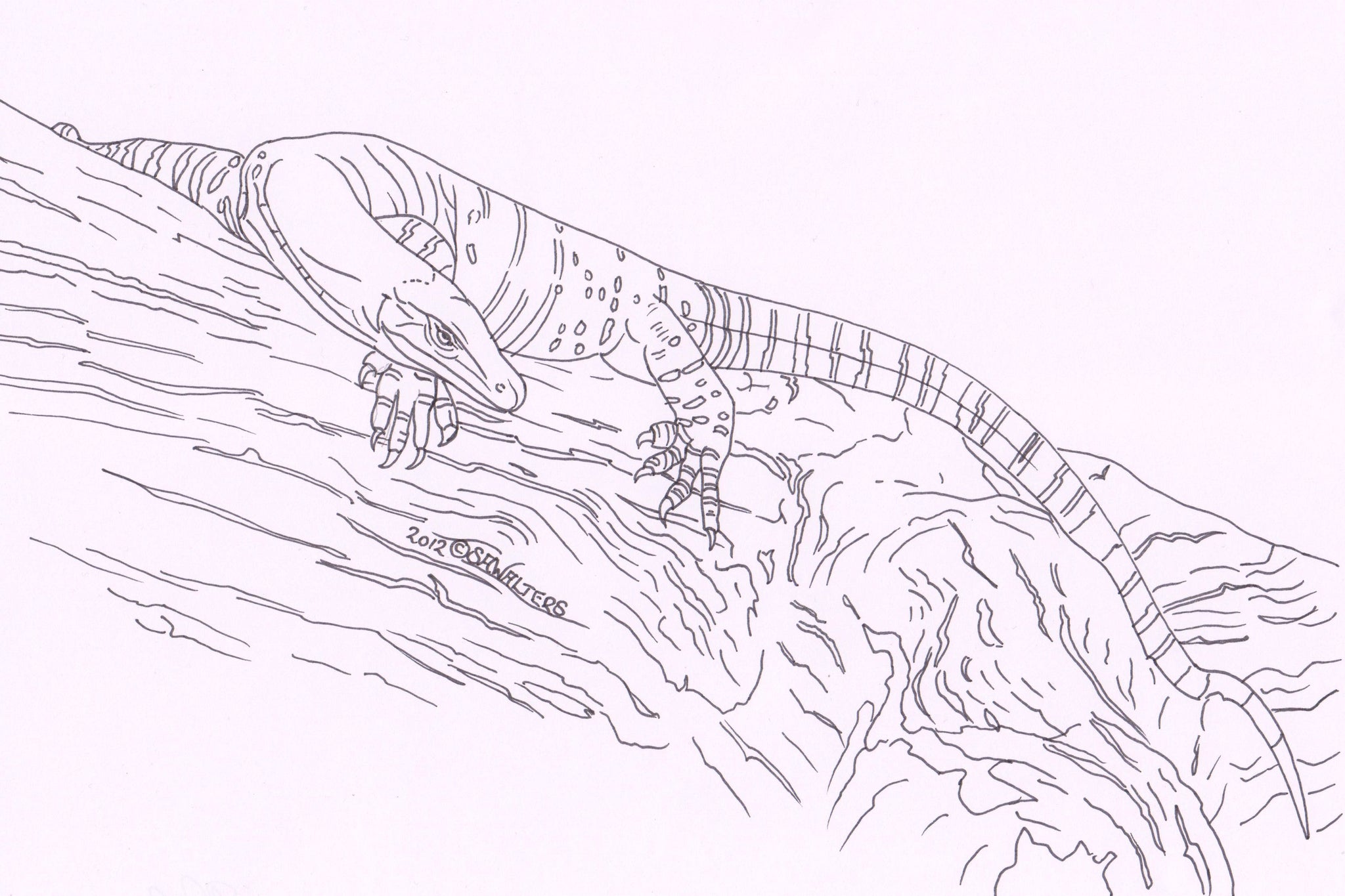 Australian Wildlife Patterns – Sue Walters Pyrography