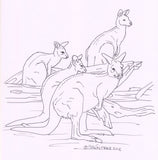 Australian Wildlife Patterns