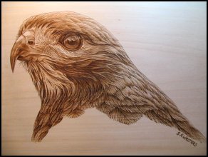 Pyrography Workshop. 2 Disc DVD. – Sue Walters Pyrography