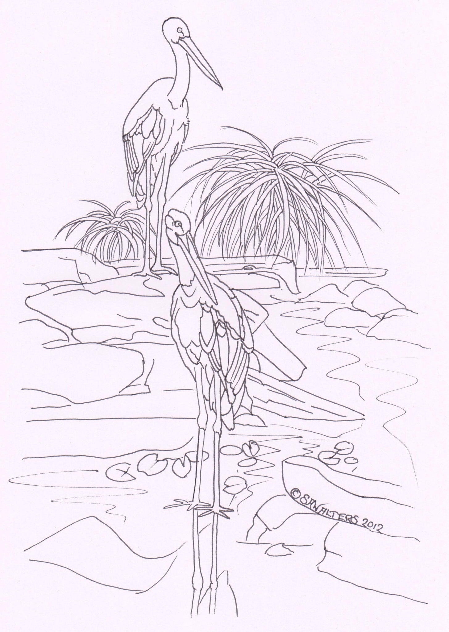 Australian Wildlife Patterns – Sue Walters Pyrography