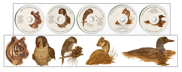 5 x Sue Walters Pyrography Lesson CDs - PDF Book. Falcon, Tiger, Loon, Chickadee, Chipmunk.