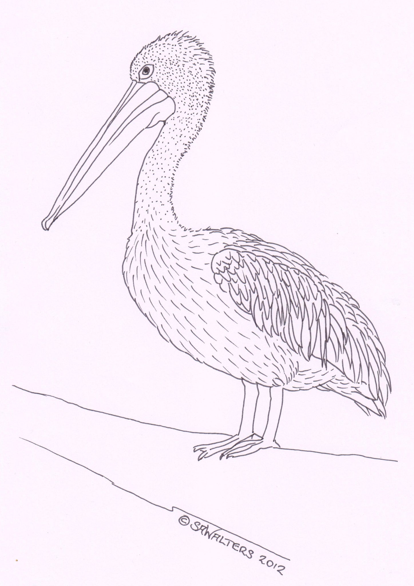 Australian Wildlife Patterns – Sue Walters Pyrography