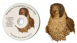 Sue Walters Pyrography Lesson CD - #1 Peregrine Falcon & Feathers