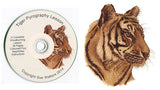 Sue Walters Pyrography Lesson CD - #5 Tiger & Fur