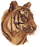 Sue Walters Pyrography Lesson CD - #5 Tiger & Fur