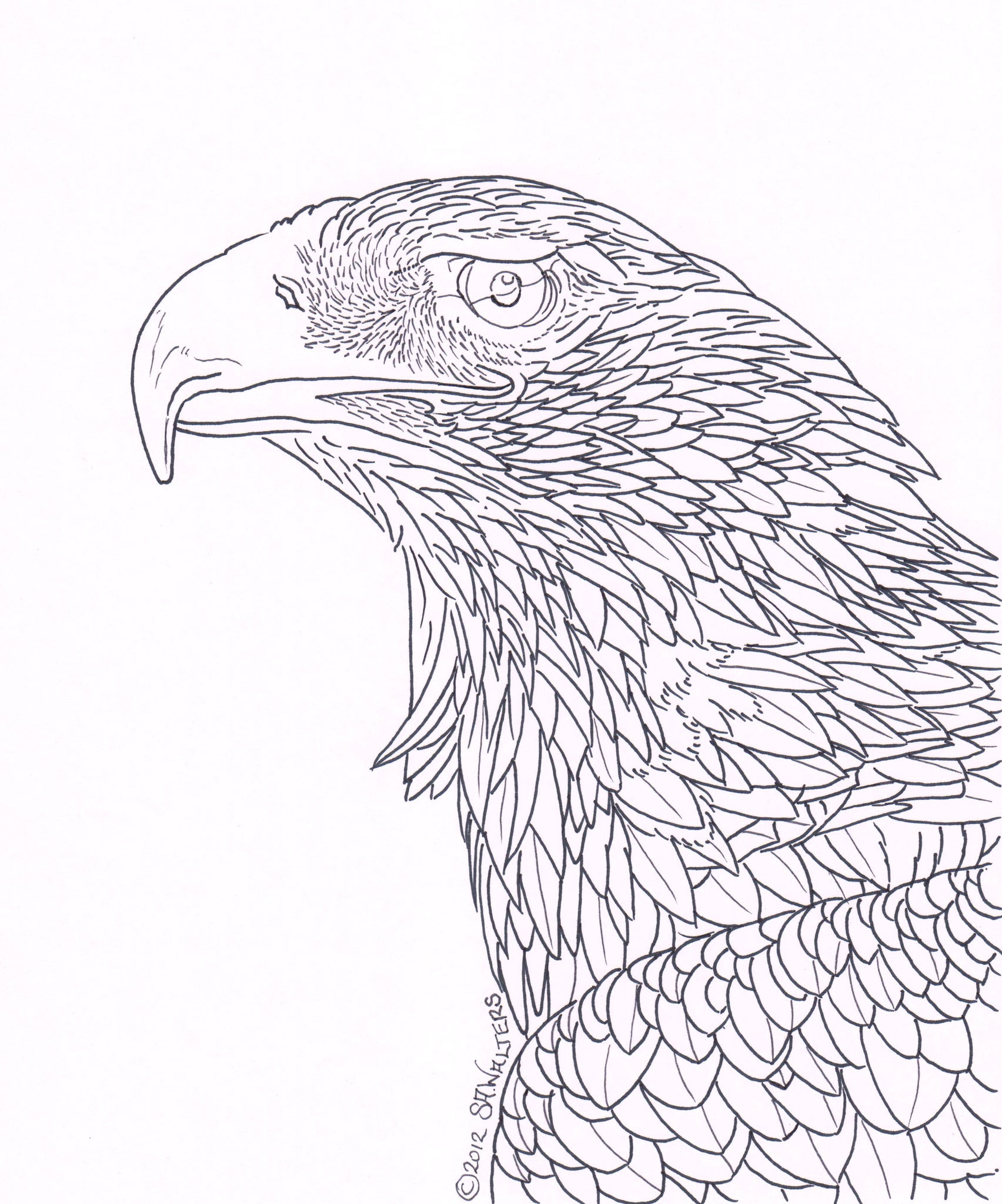 Australian Wildlife Patterns – Sue Walters Pyrography