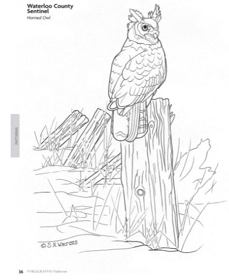 Pyrography Patterns - 30 Wildlife Designs. – Sue Walters Pyrography