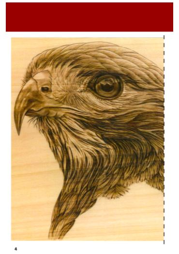 Pyrography Workshop. 2 Disc DVD. – Sue Walters Pyrography